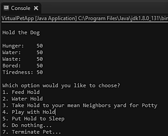 Virtual Pet Project